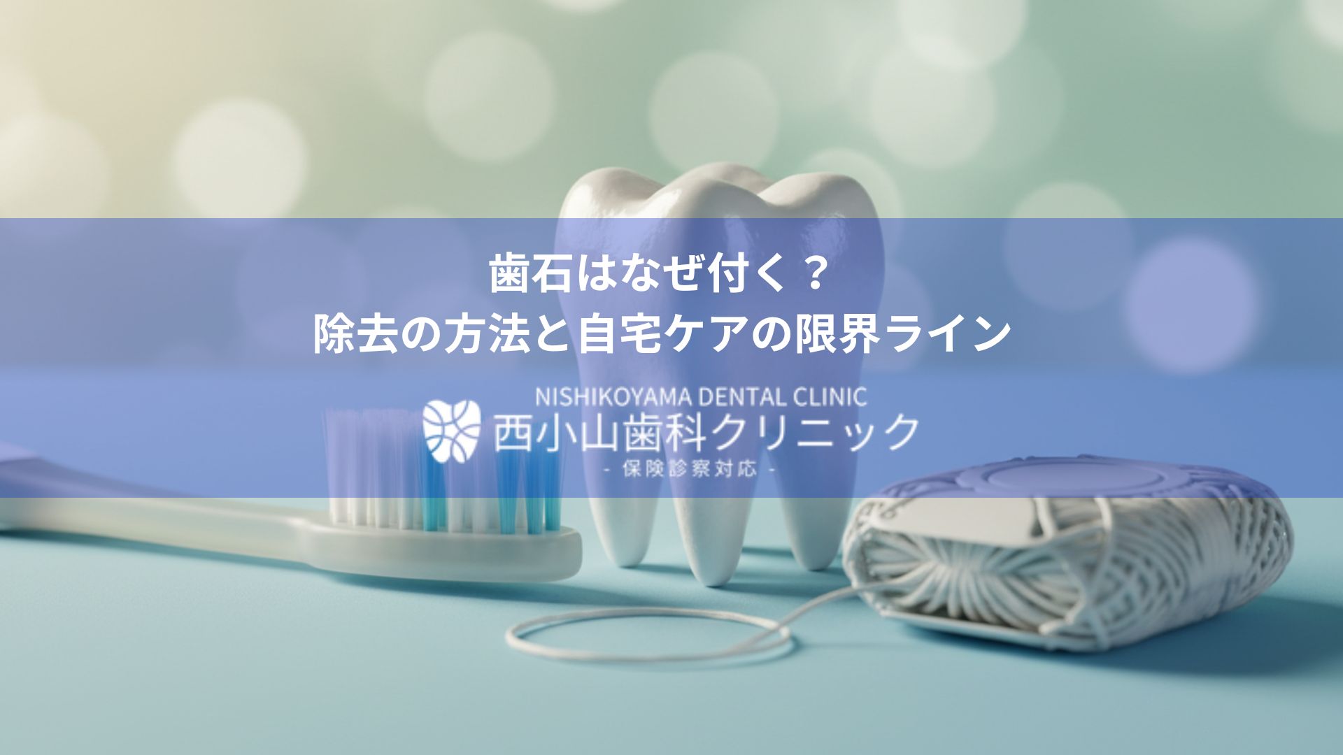 Banner for Nishikoyama Dental Clinic explaining why tartar forms and home care limits valid for a hero section fit for a dental site.