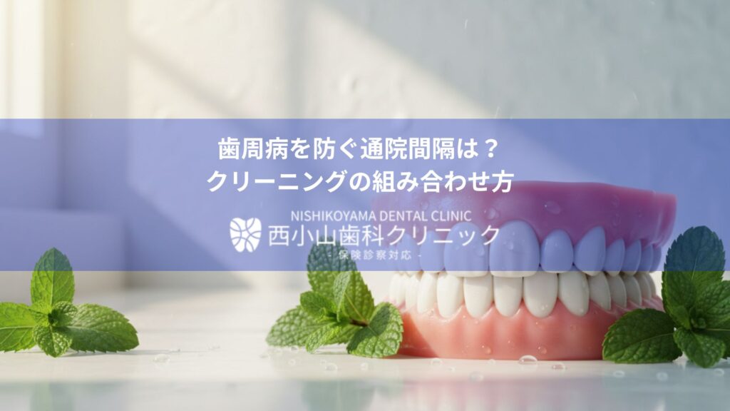 Banner for Nishikoyama Dental Clinic with Japanese text about preventing periodontal disease and cleaning methods; dental model and mint leaves in background.