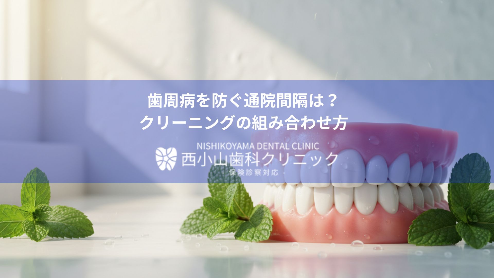 Banner for Nishikoyama Dental Clinic with Japanese text about preventing periodontal disease and cleaning methods; dental model and mint leaves in background.